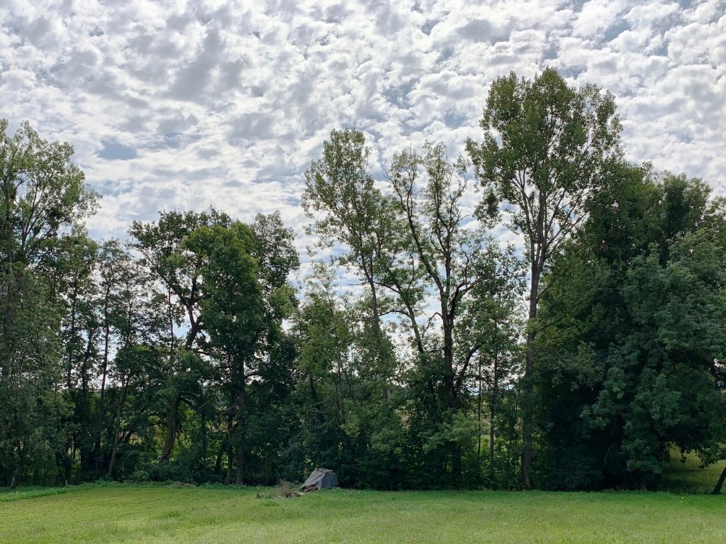 Terrain pour construction de maisons individuelles Haut-Rhin