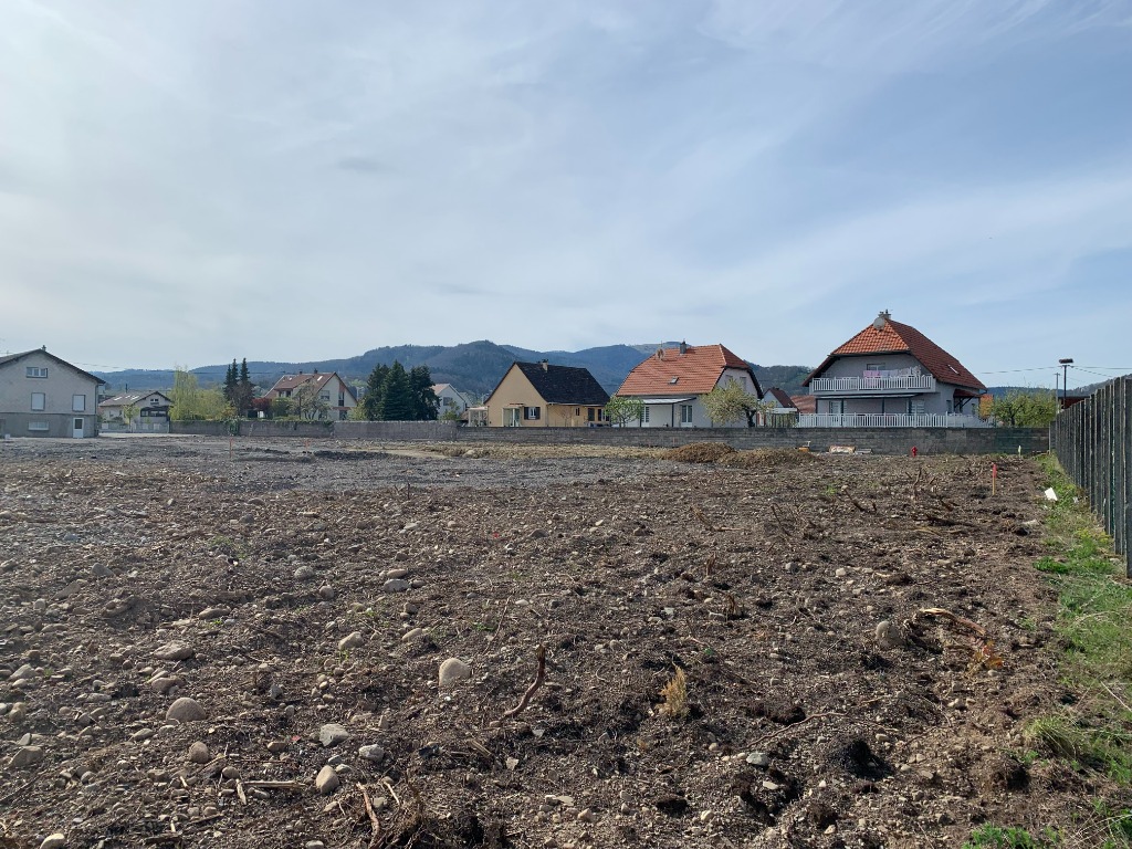 Construction maison Vieux-Thann - Batige