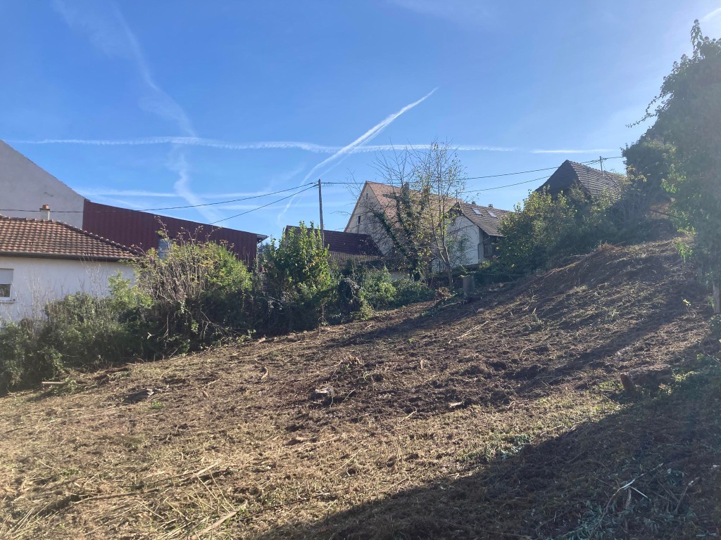 Terrain Batige - Construction de maisons individuelles Haut-Rhin - LUEMSCHWILLER