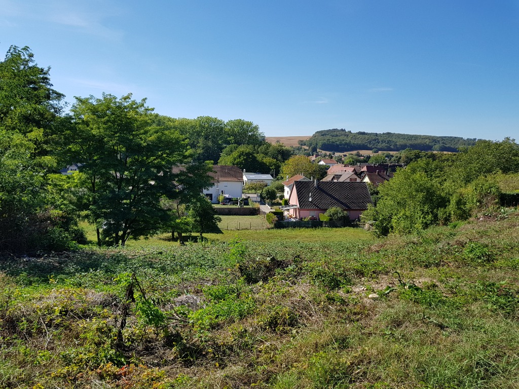 Terrain constructible alsace - Batige - Constructeur haut rhin - Walheim