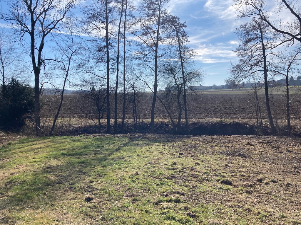 Terrain constructible - Batige - Constructeur maison neuve haut rhin