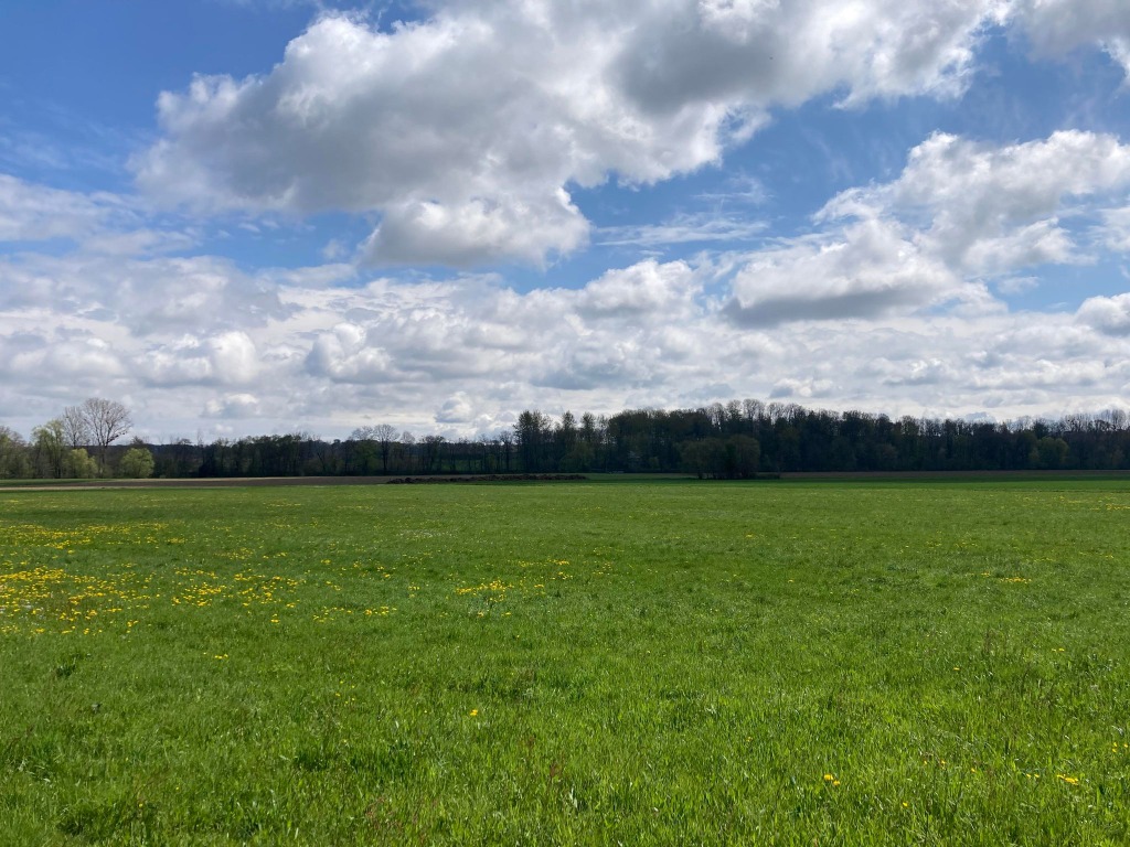 Terrain constructible dans le Haut-Rhin - Balschwiller - Batige - Constructeur haut rhin