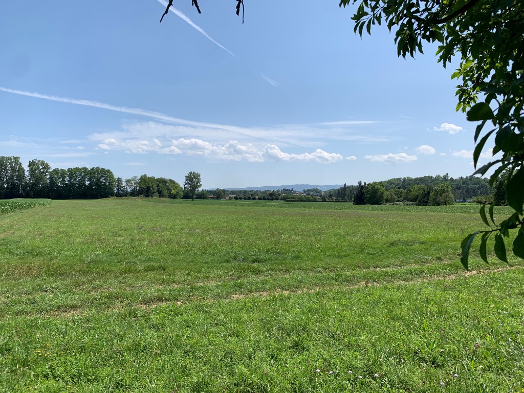 construction maison dans le haut rhin hesingue