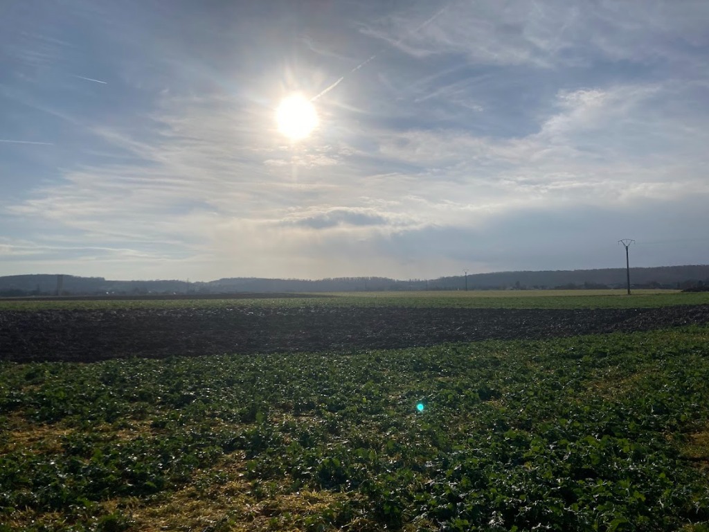 terrain à vendre haut-rhin spechbach-le-haut