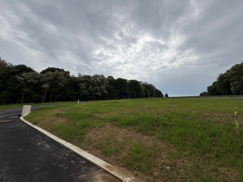 construction maison dans le haut rhin wentzwiller