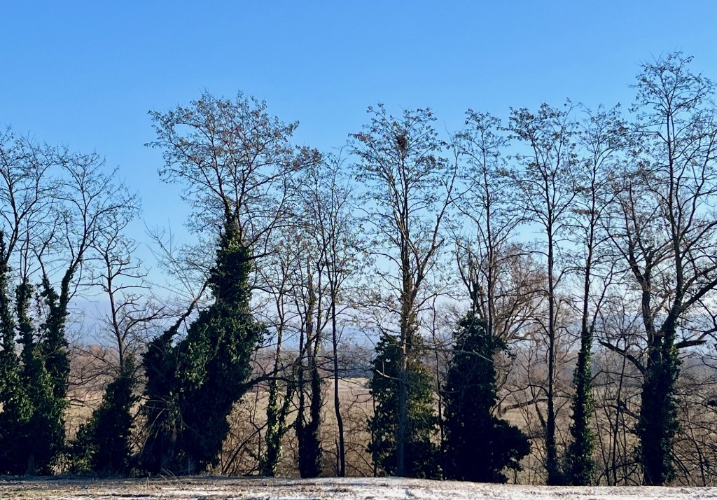 construction maison dans le haut rhin saint-louis