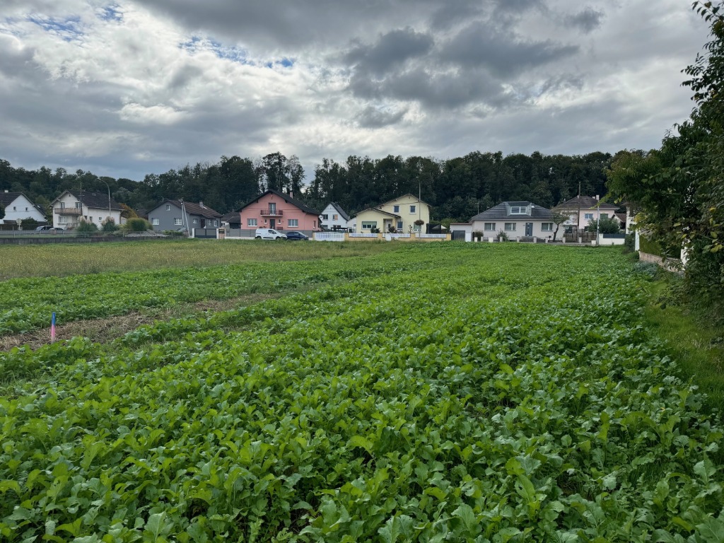 construction maison dans le haut rhin bartenheim